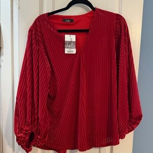 Red V-Neck Pleated Blouse